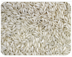 Chalky Rice Sorting​ - Partial Chaky Rice Photo. Best color sorter for rice