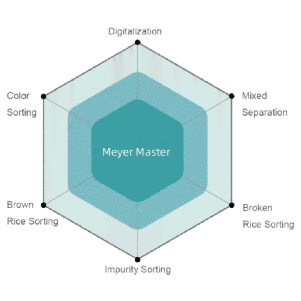 Meyer Master 4.0 Series for Rice - Mixed Rice Sorting, Same Color Impurity Sorting and Parboiled Rice Sorting with Digitalization