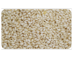 Sticky Rice, Yellow Rice Sorting and Transparent Rice Sorting - Light Yellow Rice and Sticky Rice Photo. Best Color Sorter for Rice